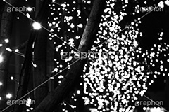 イルミ,モノクロ,白黒,しろくろ,モノクローム,単色画,単彩画,単色