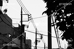 夜明け,モノクロ,白黒,しろくろ,モノクローム,単色画,単彩画,単色