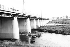 二子玉川河川敷,モノクロ,白黒,しろくろ,モノクローム,単色画,単彩画,単色,多摩川