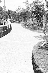 公園,モノクロ,白黒,しろくろ,モノクローム,単色画,単彩画,単色