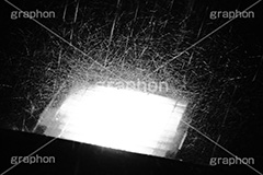 大雨,スコール,土砂降り,モノクロ,白黒,しろくろ,モノクローム,単色画,単彩画,単色,梅雨,豪雨,台風