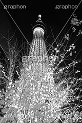 スカイツリー夜景,モノクロ,白黒,しろくろ,モノクローム,単色画,単彩画,単色,tower,japan,タワー