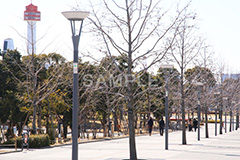 お台場,台場,DAIBA,東京都港区台場,東京臨海副都心,御台場,東京湾,港区