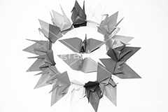 折り鶴,モノクロ,白黒,しろくろ,モノクローム,単色画,単彩画,単色,和,和風,japan,正月,お正月,年賀