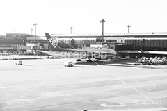 成田空港,モノクロ,白黒,しろくろ,モノクローム,単色画,単彩画,単色,旅行,旅,travel