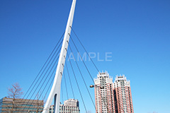 お台場,台場,DAIBA,東京都港区台場,東京臨海副都心,御台場,東京湾,港区