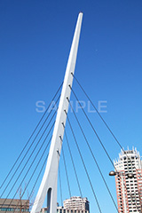 お台場,台場,DAIBA,東京都港区台場,東京臨海副都心,御台場,東京湾,港区
