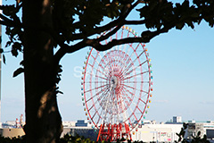 お台場,台場,DAIBA,東京都港区台場,東京臨海副都心,御台場,東京湾,大観覧車,観覧車,回転輪,かんらんしゃ,だいかんらんしゃ,遊具,港区,ヴィーナスフォート,パレットタウン,ショッピング,アウトレット,施設,商業施設