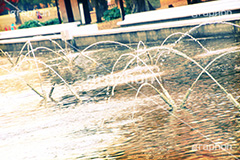 秋の代々木公園,トイカメラ撮影,トイカメラ,ヴィンテージ,ビンテージ,レトロ,お洒落,おしゃれ,オシャレ,味わい,トンネル効果,tokyo,渋谷,原宿