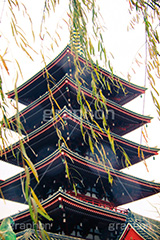 五重の塔,トイカメラ撮影,トイカメラ,ヴィンテージ,ビンテージ,レトロ,お洒落,おしゃれ,オシャレ,味わい,トンネル効果