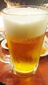 生ビール,ビール,ビア,生中,beer,ジョッキ,ビールジョッキ,大麦,麦芽,居酒屋,飲み,呑み,一杯,注がれた,冷え,夏,飲む,飲み物,飲料,飲み会,ドリンク,お酒,酒,アルコール