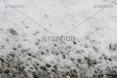 凍り付く地面,雪,ゆき,積,地面,凍り,冬,砂利,滑る,積雪,凍結,アイスバーン,snow,winter