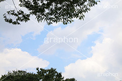 青空,空,晴,雲,お天気,空/天気,空/雲