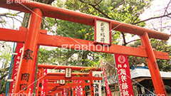 武芳稲荷堂,鬼子母神,寺,安産祈願,安産,大公孫樹,鬼子母尊神,寺,神,お寺,参拝,お参り,祈願,境内,鳥居,雑司ヶ谷,文京区,ワイド撮影