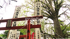 大公孫樹,鬼子母神,寺,安産祈願,安産,鬼子母尊神,寺,神,お寺,参拝,お参り,祈願,境内,雑司ヶ谷,文京区,ワイド撮影