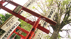 武芳稲荷堂,鬼子母神,寺,安産祈願,安産,大公孫樹,鬼子母尊神,寺,神,お寺,参拝,お参り,祈願,境内,鳥居,雑司ヶ谷,文京区,ワイド撮影