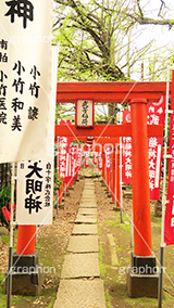 武芳稲荷堂,鬼子母神,寺,安産祈願,安産,大公孫樹,鬼子母尊神,寺,神,お寺,参拝,お参り,祈願,境内,鳥居,雑司ヶ谷,文京区,ワイド撮影