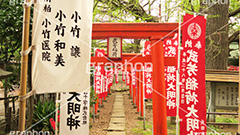武芳稲荷堂,鬼子母神,寺,安産祈願,安産,大公孫樹,鬼子母尊神,寺,神,お寺,参拝,お参り,祈願,境内,鳥居,雑司ヶ谷,文京区,ワイド撮影