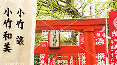 武芳稲荷堂,鬼子母神,寺,安産祈願,安産,大公孫樹,鬼子母尊神,寺,神,お寺,参拝,お参り,祈願,境内,鳥居,雑司ヶ谷,文京区,ワイド撮影