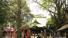 鬼子母神,寺,安産祈願,安産,大公孫樹,鬼子母尊神,寺,神,お寺,参拝,お参り,祈願,境内,雑司ヶ谷,文京区,ワイド撮影