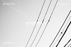 電線×飛行機雲,モノクロ,白黒,しろくろ,モノクローム,単色画,単彩画,単色