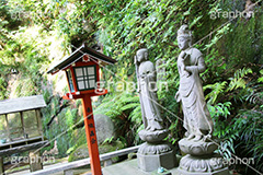 等々力渓谷,等々力,渓谷,世田谷区,世田谷,名勝,大自然,涼,マイナスイオン,谷沢川,スポット,さんぽ,散歩,木々,和,和風,避暑地,japan,灯籠