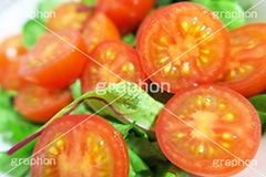 トマトサラダ,トマト,サラダ菜,菜,サラダ,さらだ,salad,前菜,tomato,lycopene,リコピン