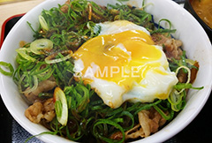 温玉ネギ牛丼,温玉,半熟,たまご,卵,タマゴ,ネギ,ねぎ,牛丼,どんぶり,ドンぶり,丼,和食,日本料理,日本食,米,チェーン店,牛丼屋,こってり,コッテリ,ファーストフード,japan,スマホ撮影