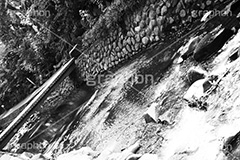等々力渓谷(モノクロ),モノクロ,白黒,しろくろ,モノクローム,単色画,単彩画,単色