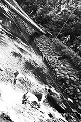 等々力渓谷(モノクロ),モノクロ,白黒,しろくろ,モノクローム,単色画,単彩画,単色