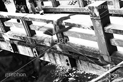 等々力渓谷(モノクロ),モノクロ,白黒,しろくろ,モノクローム,単色画,単彩画,単色