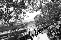品川シーサイド(モノクロ),モノクロ,白黒,しろくろ,モノクローム,単色画,単彩画,単色