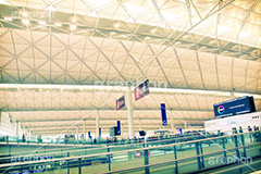 香港国際空港(ヴィンテージ),トイカメラ撮影,トイカメラ,ヴィンテージ,ビンテージ,レトロ,お洒落,おしゃれ,オシャレ,味わい,トンネル効果,旅行,旅,travel