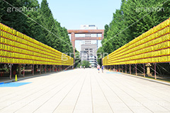 靖国神社みたままつり,みたままつり,まつり,祭り,夏祭り,灯ろう,灯篭,灯籠,ちょうちん,提灯,靖国神社,神社,靖国,東京招魂社,参拝,お参り,日本,政治,政府,問題,国際問題,国際,総理大臣,大臣,九段下,九段北,九段坂,坂上,鳥居,大鳥居,shrine,japan,千代田区