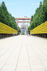 靖国神社みたままつり,みたままつり,まつり,祭り,夏祭り,灯ろう,灯篭,灯籠,ちょうちん,提灯,靖国神社,神社,靖国,東京招魂社,参拝,お参り,日本,政治,政府,問題,国際問題,国際,総理大臣,大臣,九段下,九段北,九段坂,坂上,鳥居,大鳥居,shrine,japan,千代田区