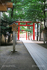 花園神社,神社,参拝,お参り,新宿,新宿区,郷社,倉稲魂命,日本武尊,受持神,徳川家康,文化財,芸能,都心,都会,鳥居,shrine,japan,灯籠
