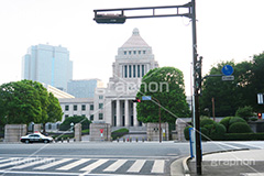 国会議事堂,国会,中枢,国,国家,日本,japan,政治,政治家,議員,議会,霞が関,politics,government,政権,権力,選挙,デモ,シンボル,symbol,帝国,参議院,衆議院,永田町