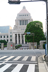 国会議事堂,国会,中枢,国,国家,日本,japan,政治,政治家,議員,議会,霞が関,politics,government,政権,権力,選挙,デモ,シンボル,symbol,帝国,参議院,衆議院,永田町