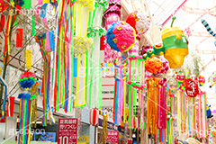 阿佐ヶ谷-七夕まつり,阿佐ヶ谷,あさがや,阿佐ヶ谷駅,新宿区,七夕,清凉,スターフェスティバル,フェスティバル,祭り,初夏,夏,風物詩,風物,飾り,七夕飾り,短冊,短尺,吹流し,吹き流し,たなばた,しちせき,節供,節日,五節句,棚機,棚幡,7月7日,7/7,8/7,8月7日,牽牛,織女,彦星,天の川,商店街,イベント,行事,star,festival,event,summer