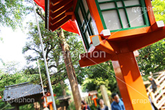 等々力不動尊,不動尊,不動堂,神社,行者,利益,交通安全,巡礼,学業成就,等々力渓谷,等々力,渓谷,世田谷区,世田谷,谷沢川,灯籠