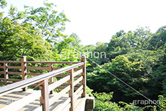 等々力不動尊,不動尊,不動堂,神社,行者,利益,交通安全,巡礼,学業成就,等々力渓谷,等々力,渓谷,世田谷区,世田谷,谷沢川