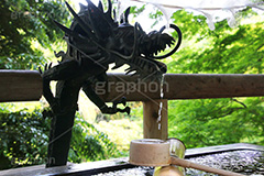 手水舎,水盤舎,御水屋,竜,龍,ドラゴン,等々力不動尊,不動尊,不動堂,神社,行者,利益,交通安全,巡礼,学業成就,等々力渓谷,等々力,渓谷,世田谷区,世田谷,谷沢川,参拝