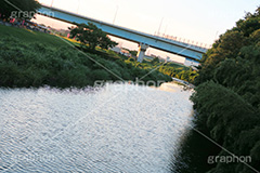 多摩川,河川敷,二子玉,二子玉川,にこたま,ニコタマ,世田谷区,川,河原,かわ,河川,橋,river