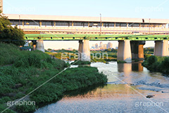 多摩川,河川敷,二子玉,二子玉川,にこたま,ニコタマ,世田谷区,川,河原,かわ,河川,大井町線,電車,鉄道,橋,夕焼け,夕日,夕方,river,大井町,train