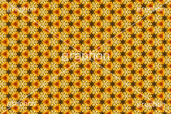 ドライフラワーをパターンにしてみた,ドライフラワー,フラワー,flower,花,パターン,モノグラム,pattern,monogram,柄,がら,模様,もよう,texture,テクスチャ,テクスチャ―,万華鏡,図案,加工,フォトパターン,してみた,シリーズ,スマホ撮影