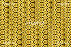 ドライフラワーをパターンにしてみた,ドライフラワー,フラワー,flower,花,パターン,モノグラム,pattern,monogram,柄,がら,模様,もよう,texture,テクスチャ,テクスチャ―,万華鏡,図案,加工,フォトパターン,してみた,シリーズ,スマホ撮影